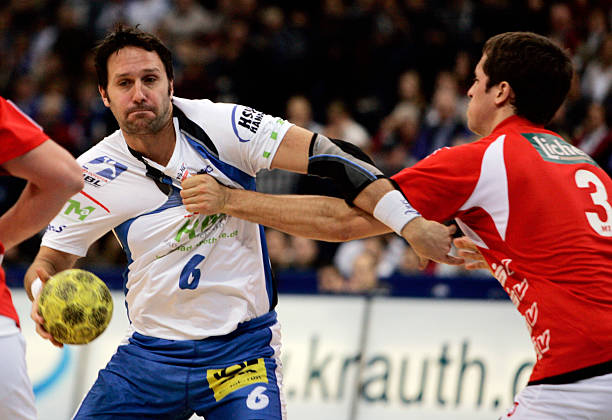 们提供了一 们提供了一