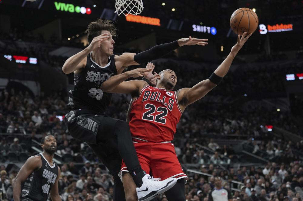 们提供了一 们提供了一